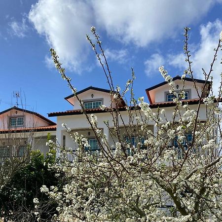 Majo Alojamento Local Bed & Breakfast Tabua  Bagian luar foto