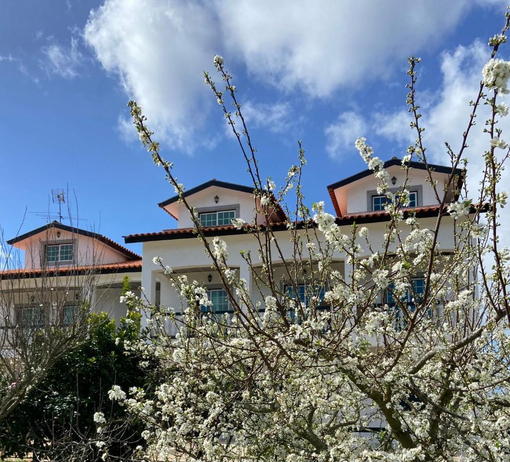Majo Alojamento Local Bed & Breakfast Tabua  Bagian luar foto