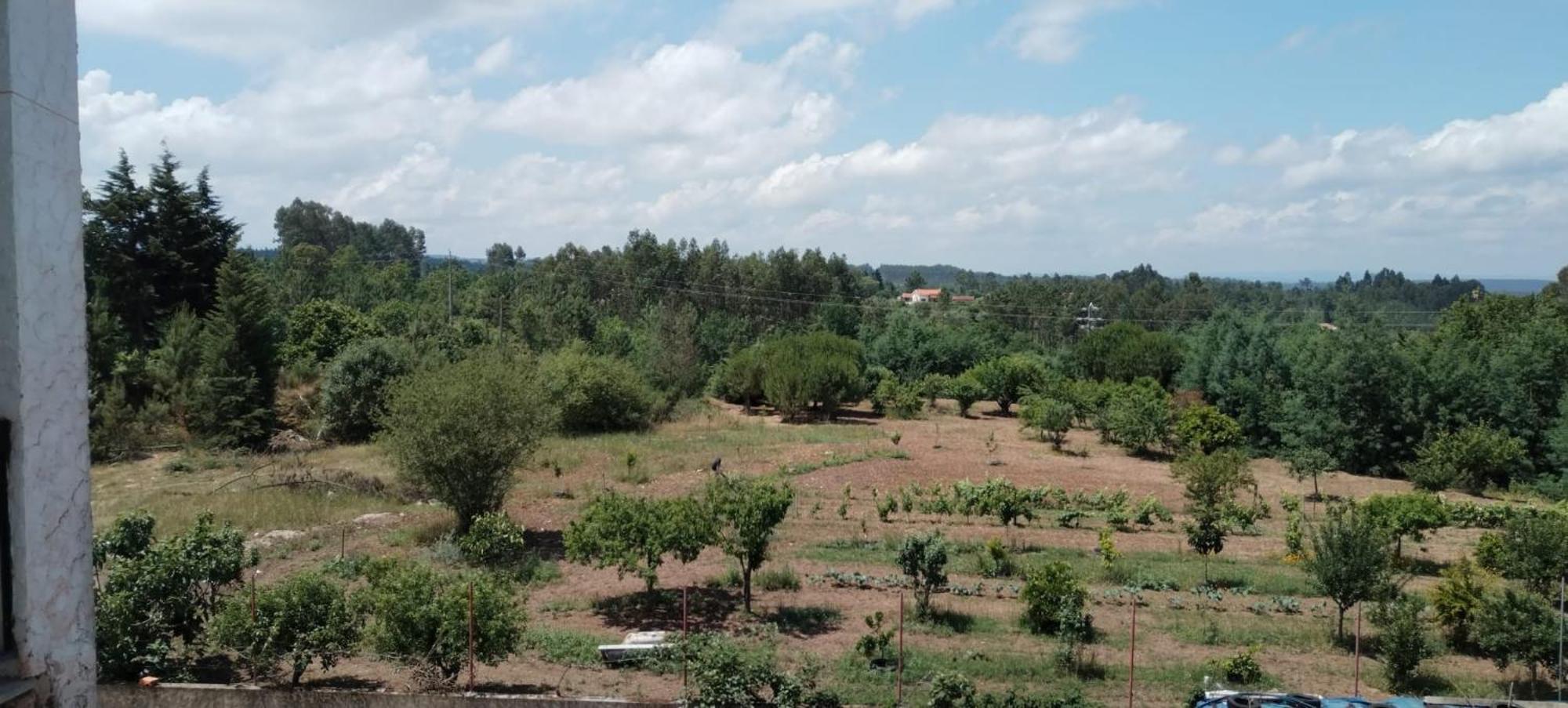 Majo Alojamento Local Bed & Breakfast Tabua  Ruang foto